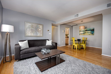 Inspiration for a contemporary living room remodel in DC Metro