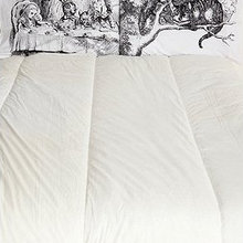 Bedroom Ideas