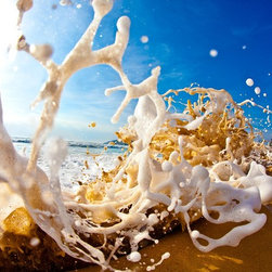 Shorey Squelch by Joel Coleman - Photographs