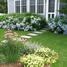 landscaping for New house