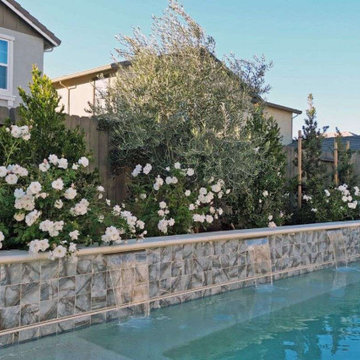 Mediterranean English Garden Inspired Backyard