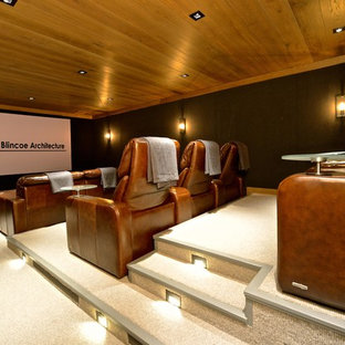 Transitional home theater photo in Boise
