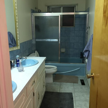 Main Bathroom Transforms