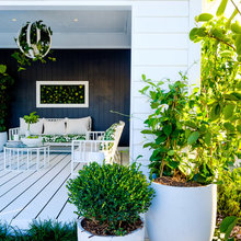 10 Essentials to Water and Refresh Your Potted Plants in Summer