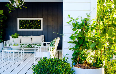 10 Essentials to Water and Refresh Your Potted Plants in Summer