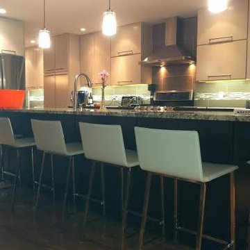 Sleek Modern Kitchen
