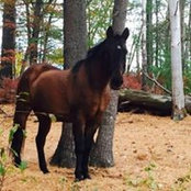 Sandra MacDonald's photo