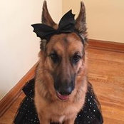 Susan Leviton's photo