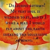 Amy Wayland's photo