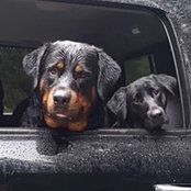 Kara Wicki's photo