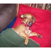 Janice Billeck's photo
