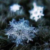 Foto von Christine Bethke