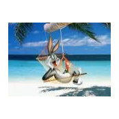 Robin Burgstahler Horton's photo