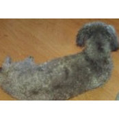 Janette Stark-Schmitt's photo