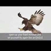 Bella Matatov's photo