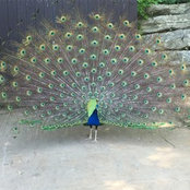 Justina Kolbe's photo