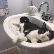 Lisa Kramer's photo
