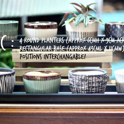 Teachers Day Specials - Indoor Pots And Planters