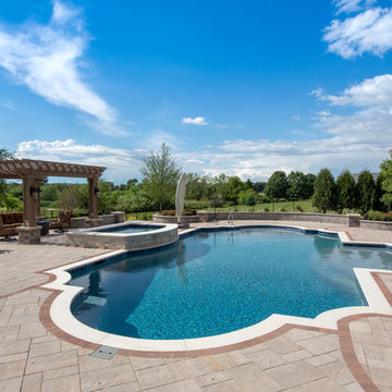 Elgin, IL Roman End Pool with Freeform Hot Tub