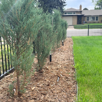 Total Indoor + Outdoor Renovation - Park Hill, CO