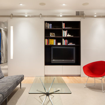 Condo Renovation