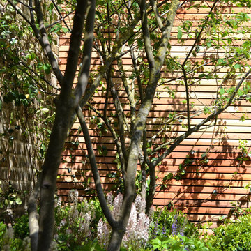 SW4 Contemporary Garden