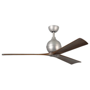 Fanimation Enigma Fan Contemporary Ceiling Fans By Shopfreely