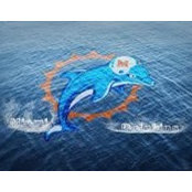 Chad Gardiner's photo