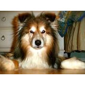 Janell Nichol's photo