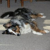 Cherie Magnante's photo