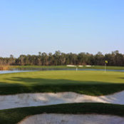Chad Rawlings's photo