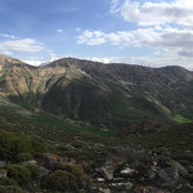 m vn's photo