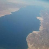 Iman Shurrab's photo