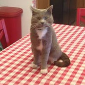 Sheri Roy's photo
