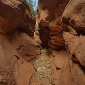 Brent Stover's photo