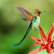 Elaine Johnson's photo