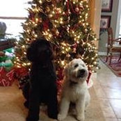 Janelle Brammer's photo
