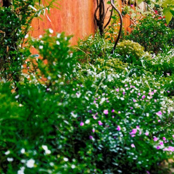 Backyard - Margondanahalli, Electronic city