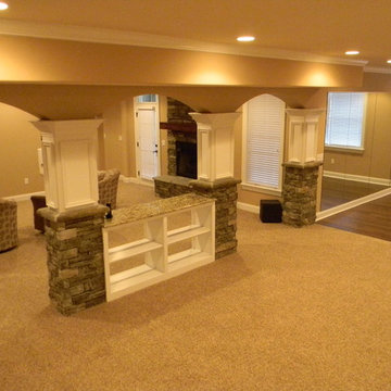 Basement Remodel