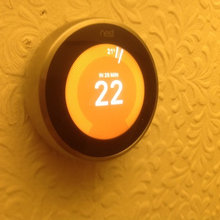 Nest