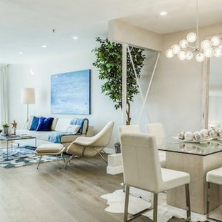 Santa Monica Contemporary Remodel