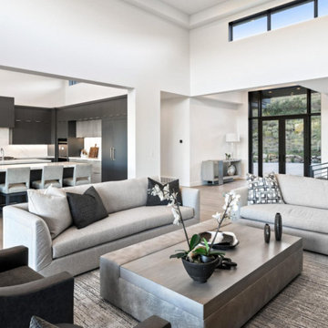 Mountain modern living spaces