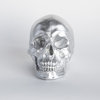 Faux Human Skull, Resin Home Decor, Table Top Skeleton Head, Silver