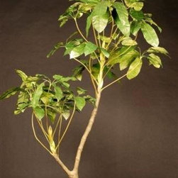 Faux floral arrangements - Artificial Flower Arrangements