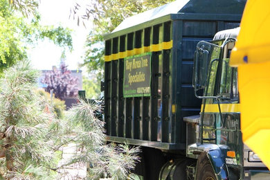 Bay Area Tree Specialists