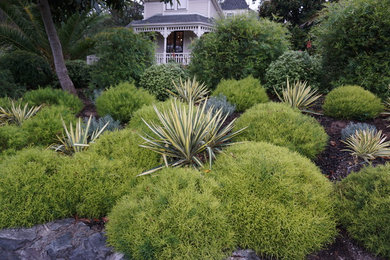 This is an example of a landscaping in San Francisco.