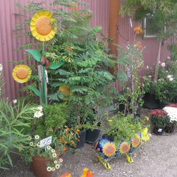 Fall Auction - Outdoor Products