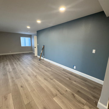 Home Remodel/ One Bath/paint/popcorn removal/LED Can lights/baseboards/Flooring