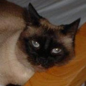 Elaine Reeder's photo