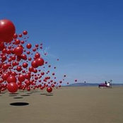 Matteo Massiglio's photo